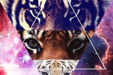 Galaxy, Tiger, Triangle, Wallpapers   Image