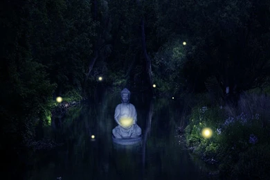 Download Buddha Meditation Wallpapers 1024x768