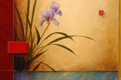 Daily Meditation HD Wallpapers