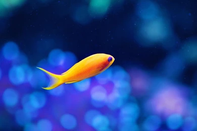 Art & Drawn iPad Wallpapers