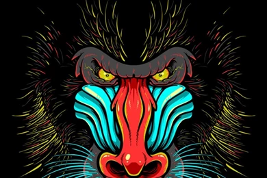 Download Wallpapers 1920x1080 Rage, Face, Gorilla, Art Full HD ...