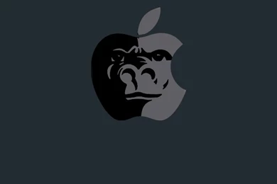 Gorilla Apple iPhone 5 Wallpapers (640x1136)