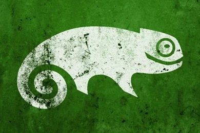 Green Chameleon iPhone 4s Wallpapers Download
