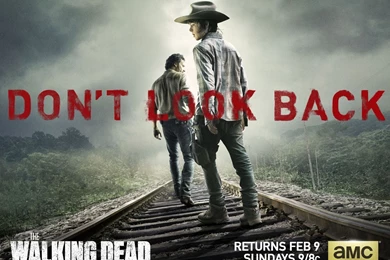 The Walking Dead Season 4 Wallpapers With Carl And Rick