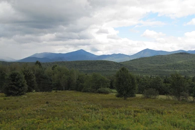Meadow With Mountains In Backgrounds