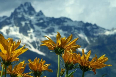 Sand Patterns Backgrounds And Codes For Any Blog, Web Page, Phone ...