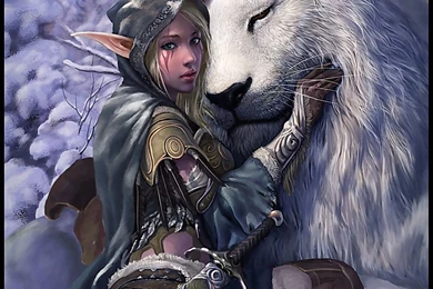 305 Elf HD Wallpapers