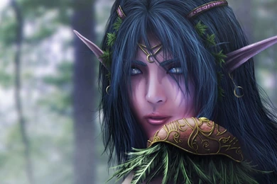 Night Elf, Wallpapers   Zerochan Anime Image Board