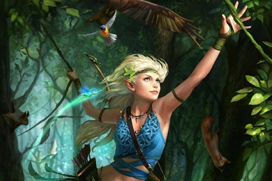 Elf Wallpaper Backgrounds