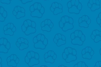 Blue Dog Background.jpg