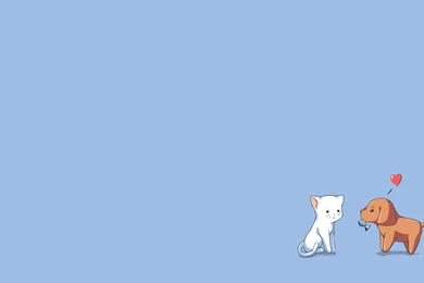 Cat And Dog Wallpapers