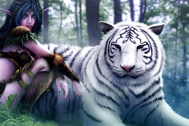 White Tiger With Elf Wallpapers   Digital Art Wallpapers
