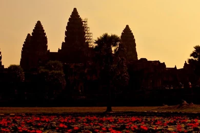 Chara Basketball Sports