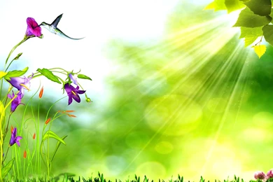 Nature Backgrounds 3068 Backgrounds Widescreen Full Size Attachment ...