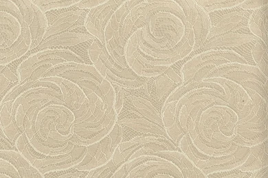 Cream Rose Texture Wallpapers   Kaneva Pattern