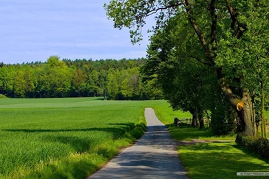 Free Wallpapers   Free Nature Wallpapers   Natural Scenery 6 ...