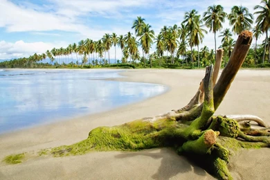 HD Cool Backgrounds Wallpaper HD Backgrounds   Best Wallpapers Galery