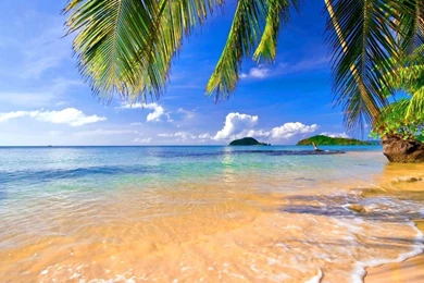 Tropical_beach_sea_sand_nature_beaches_hd wallpaper.jpg