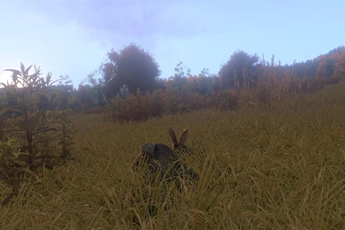 ArmA 3   4K Wallpapers   Imgur