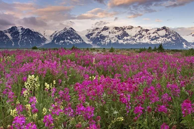Download Wallpapers Valley At Alsek River, Alaska (1920 X 1080 HDTV ...