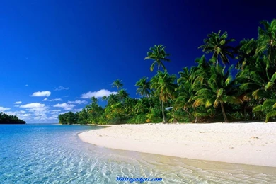 PC Wallpapers Free   HD Wallpapers Pretty