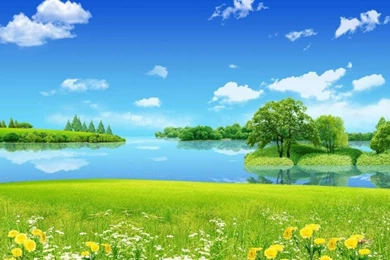 Free Download Full Hd Nature Wallpapers For PC   Wallpaper.