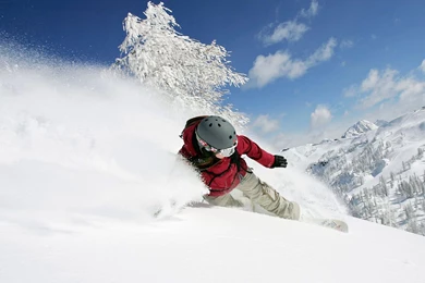 Snowboard Wallpapers And Images   Wallpapers, Pictures, Photos