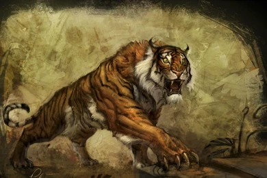 Download Wallpapers 1920x1080 Tomb Raider, Core Design, Crystal ...