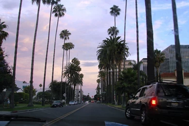 Los Angeles City