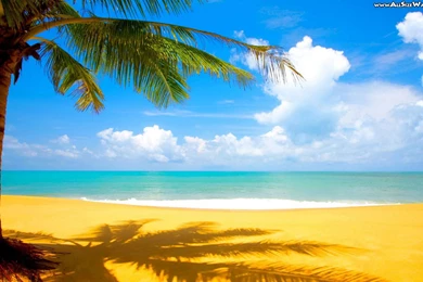 Summer Wallpaper_hd Wallpaper_download Free Wallpapers