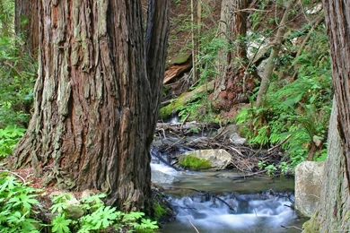 1920 X 1080 Wallpapers   2401