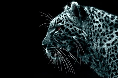 1920×1080 Wallpapers X43 High Definition