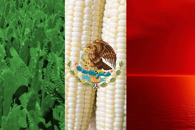 A Proper Mexican Flag Wallpapers : Wallpapers