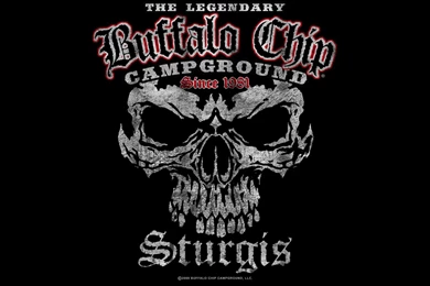 240X320 Skull Wallpapers 207846