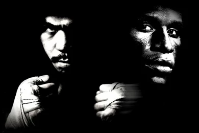 Floyd Mayweather 2015 Wallpapers And Pictures