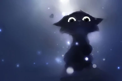 Wallpapers Black Cat