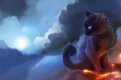 Black Cat Wallpapers