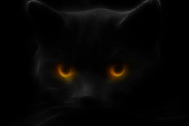 Black Cat Wallpapers By Ghostkyller On DeviantArt