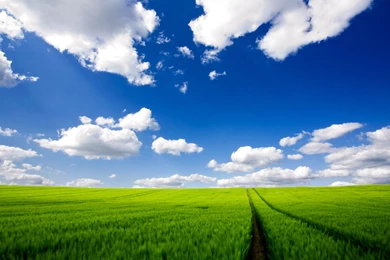 Download Wallpapers 2560x1600 Road, Greens, Grass, Sky, Clouds ...
