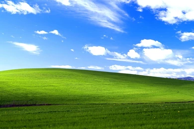 Windows XP Bliss Wallpapers