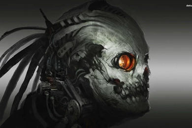 Cyborg Skull Wallpapers   Digital Art Wallpapers