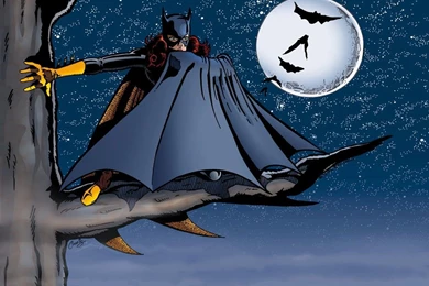 Batgirl   DC Comics Wallpapers (4007078)   Fanpop