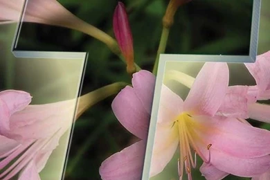 Flower And Cross Iphone 4s Wallpapers Free 640x960 Hd Iphone ...