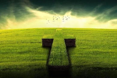 Free Desktop Wallpapers Download   HD Wallpapers   3D Wallpapers ...