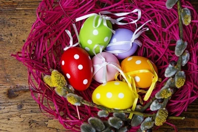 Hop Into Spring With 15 Desktop Wallpapers For Springtime