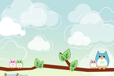 Owl Wallpapers For Computer