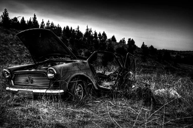 Black And White Forest Cars HD Wallpapers