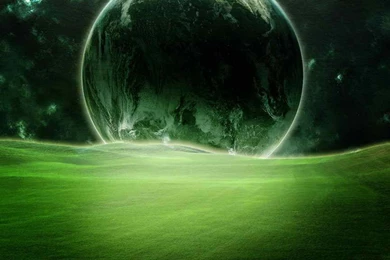 Green Grass Backgrounds Wallpapers 1280x800 Iwallhd Wallpapers Hd ...