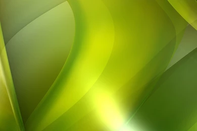 Green Backgrounds HD Wallpaper, Green Background Pics
