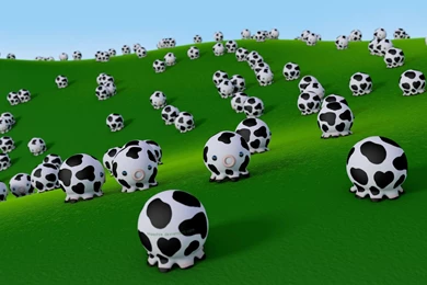 Wallpapers Takochu Cows By Hoschie On DeviantArt